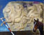 A horse races - 46-55 см
